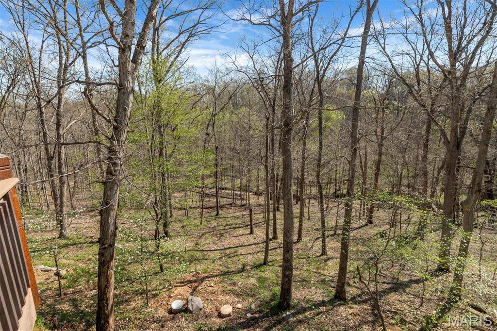 19305 Dogwood Valley Court