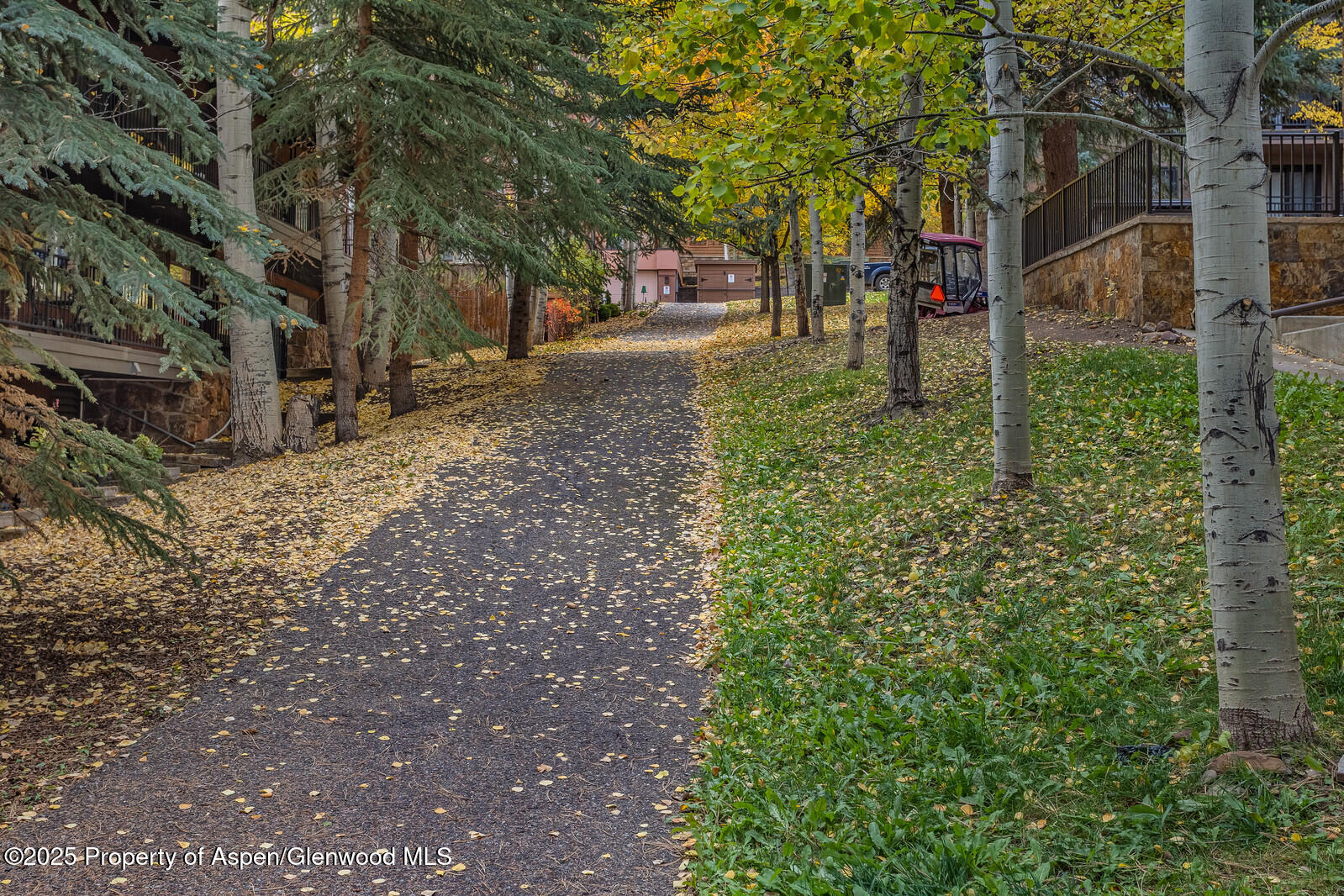 731 S Mill Street, 3A