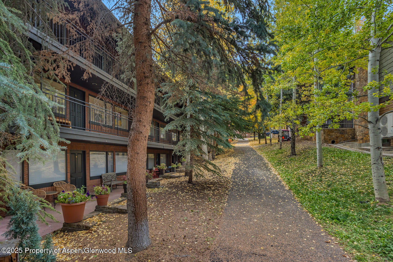 731 S Mill Street, 3A