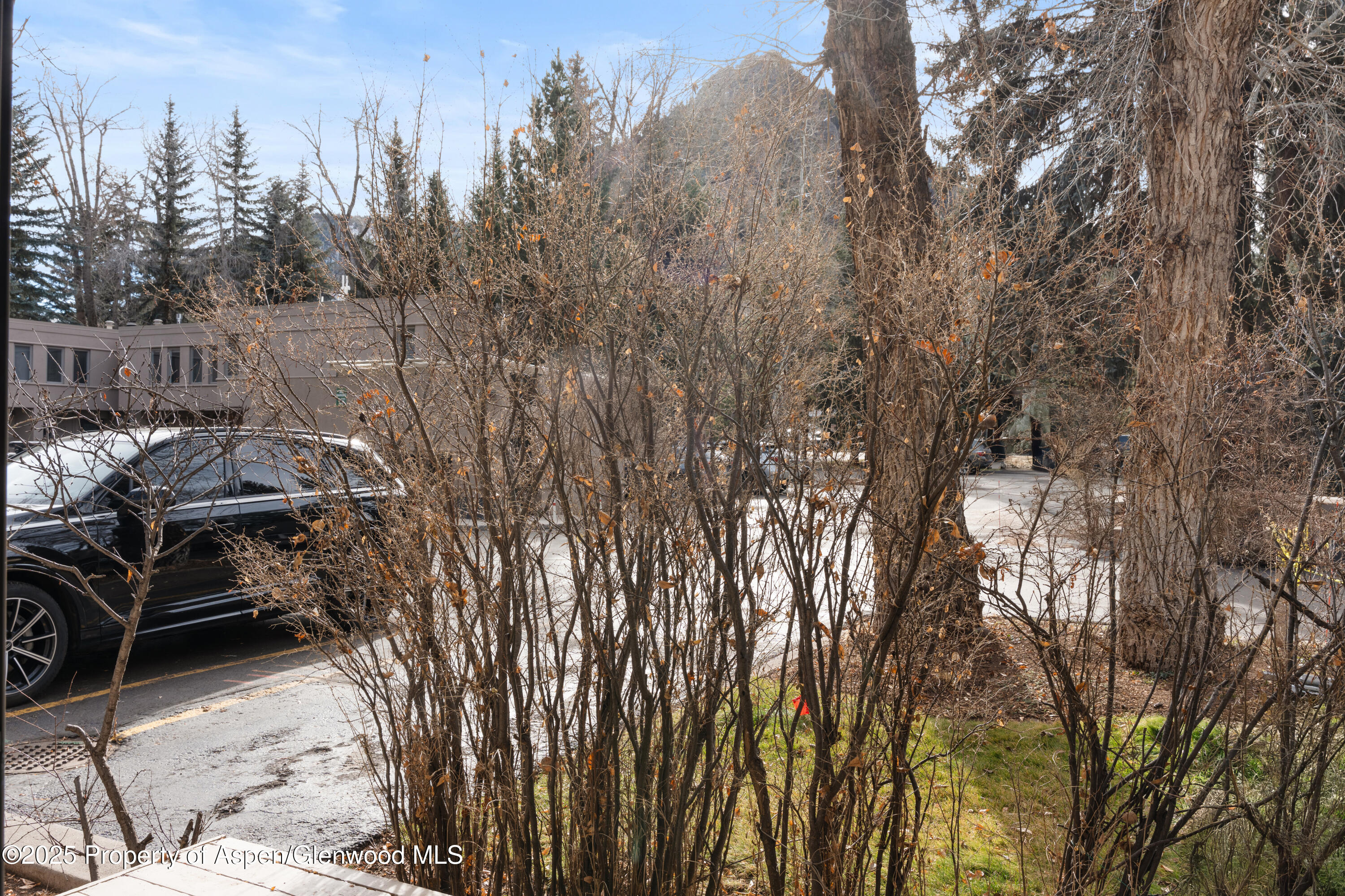 814 W Bleeker Street C-1