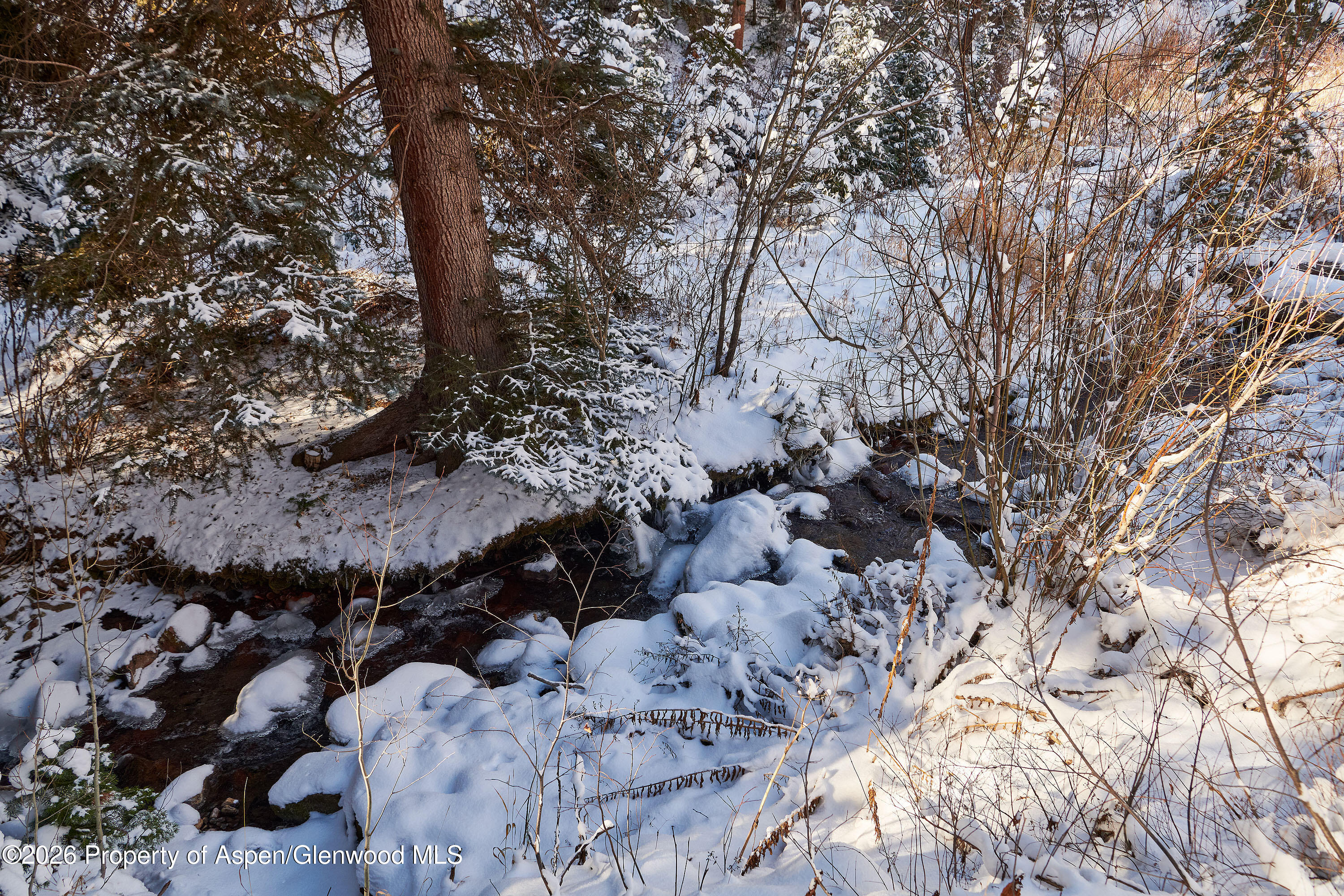 290 Ruedi Creek Road