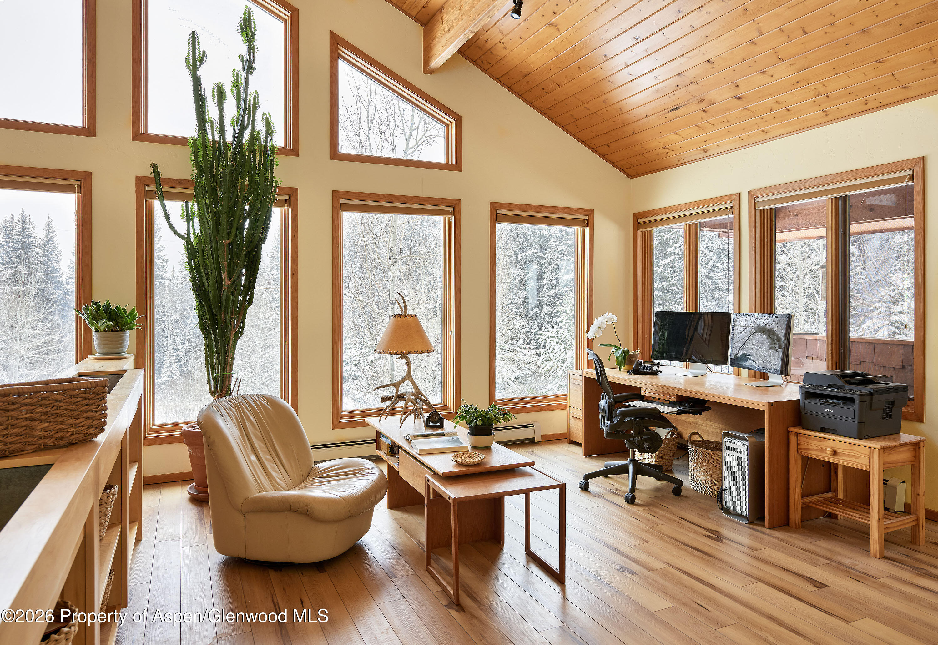 290 Ruedi Creek Road