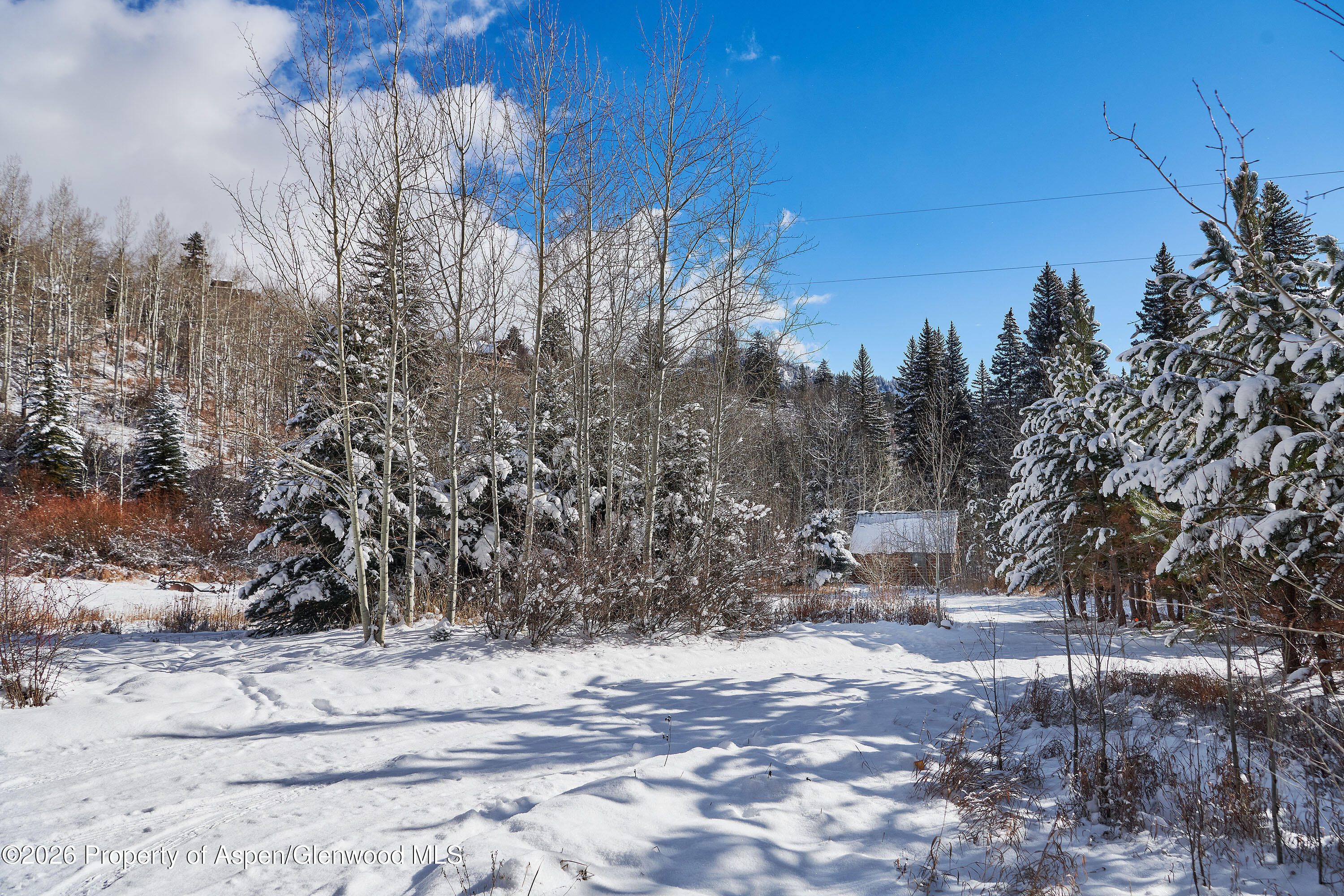 290 Ruedi Creek Road