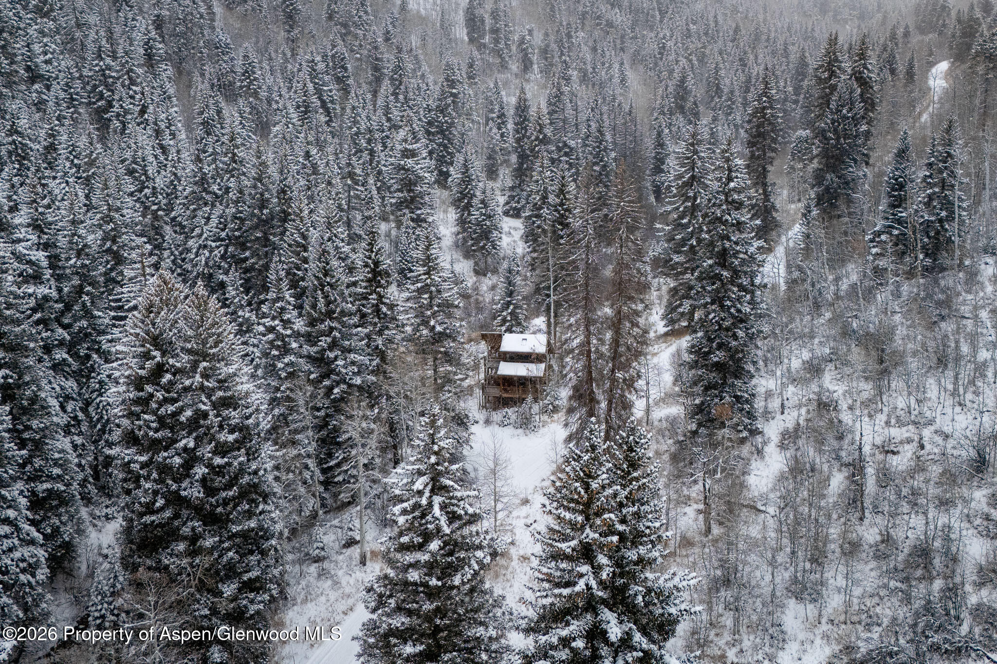 290 Ruedi Creek Road