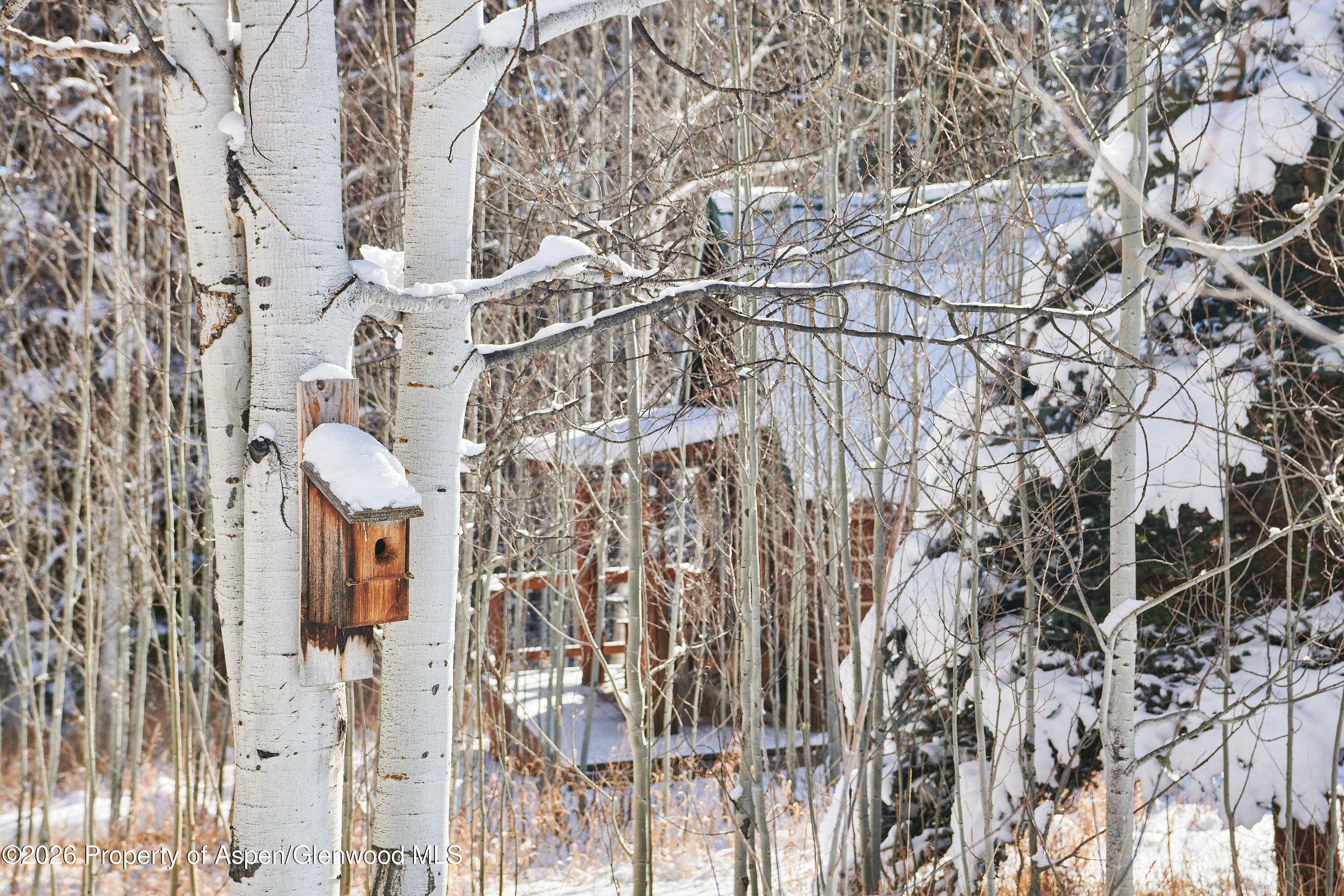 290 Ruedi Creek Road