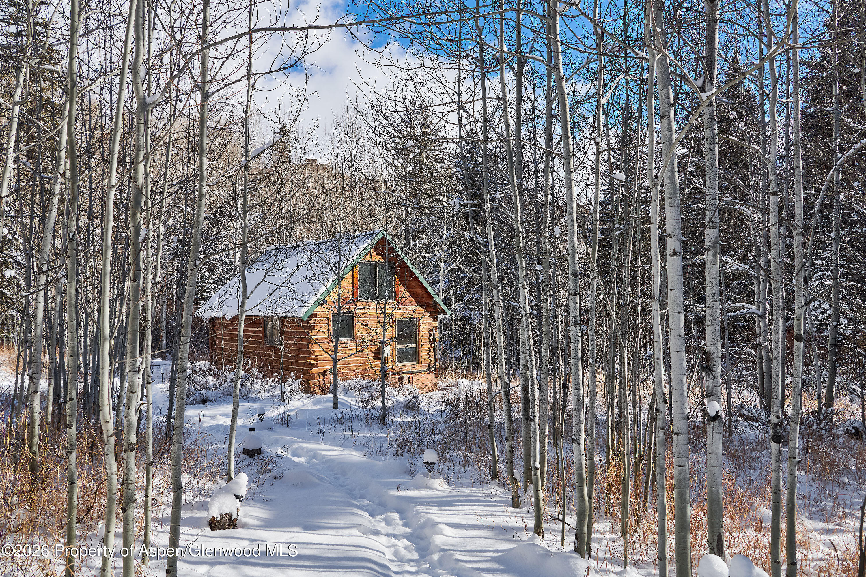 290 Ruedi Creek Road