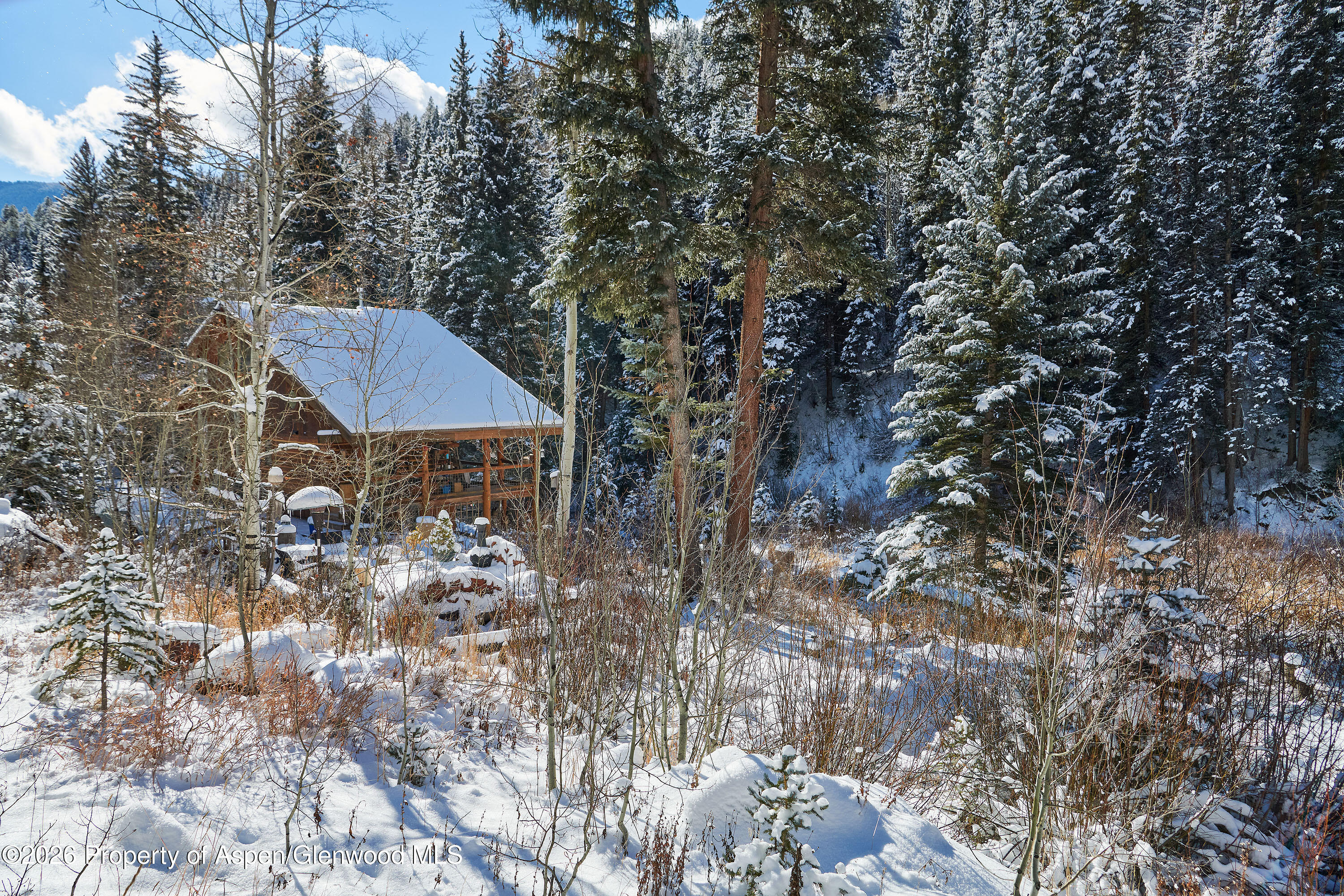 290 Ruedi Creek Road