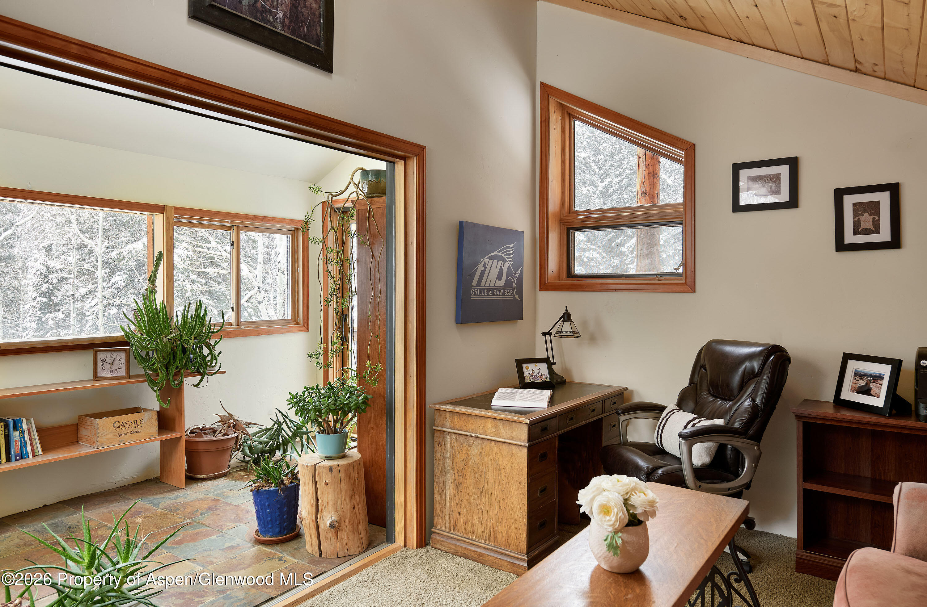 290 Ruedi Creek Road