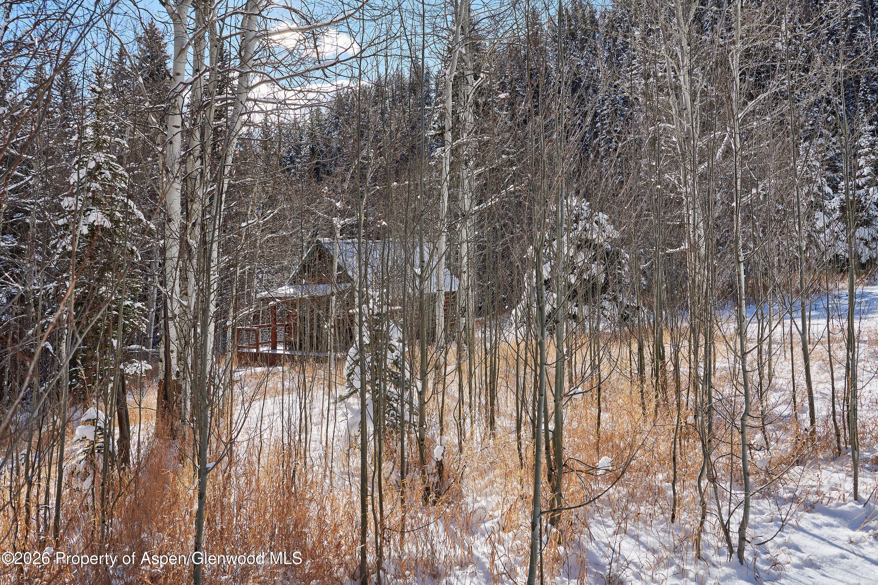 290 Ruedi Creek Road