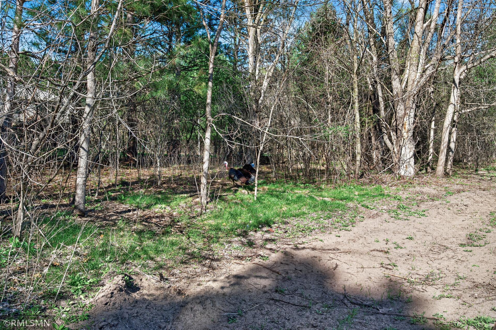 18115 Bender Street NE