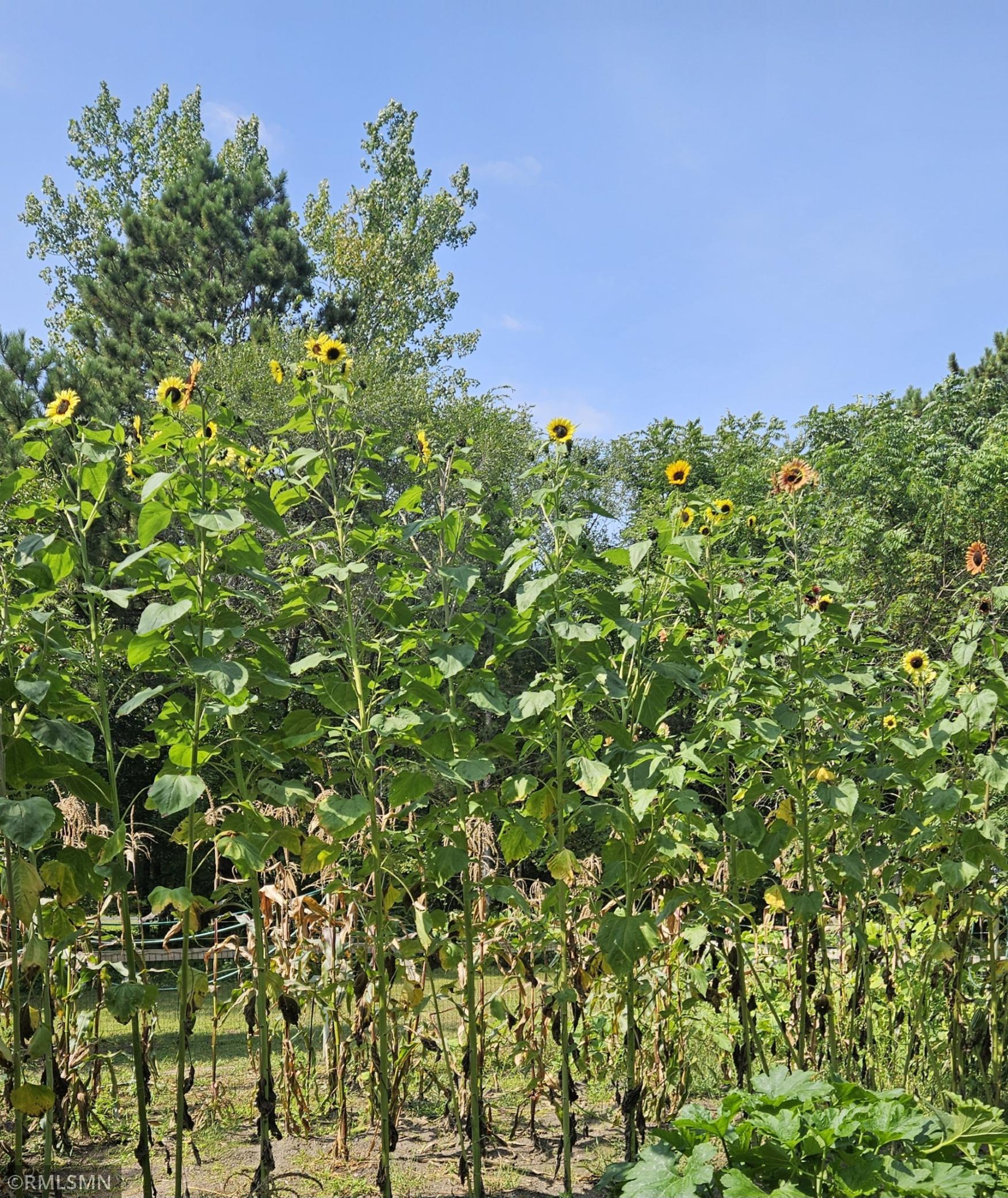 18115 Bender Street NE