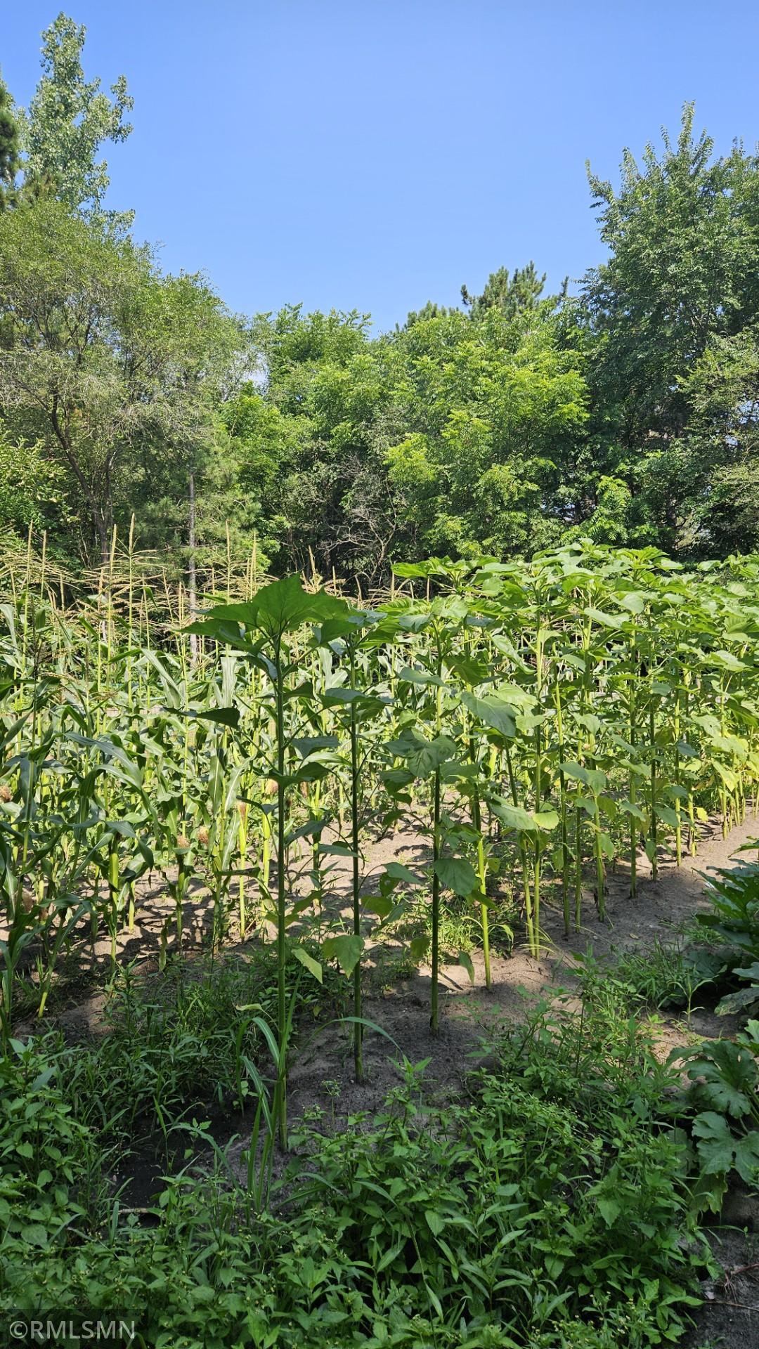 18115 Bender Street NE