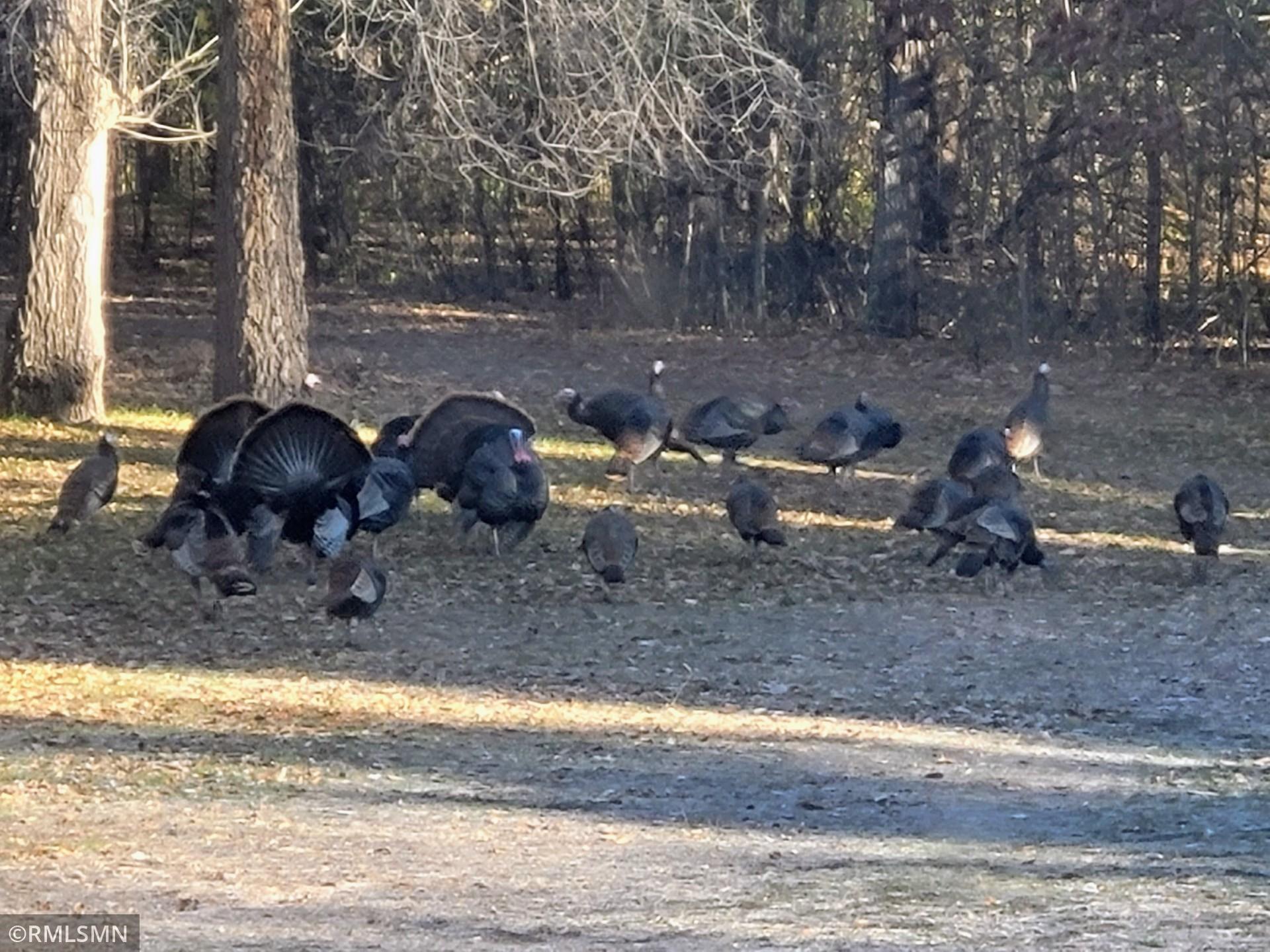 18115 Bender Street NE