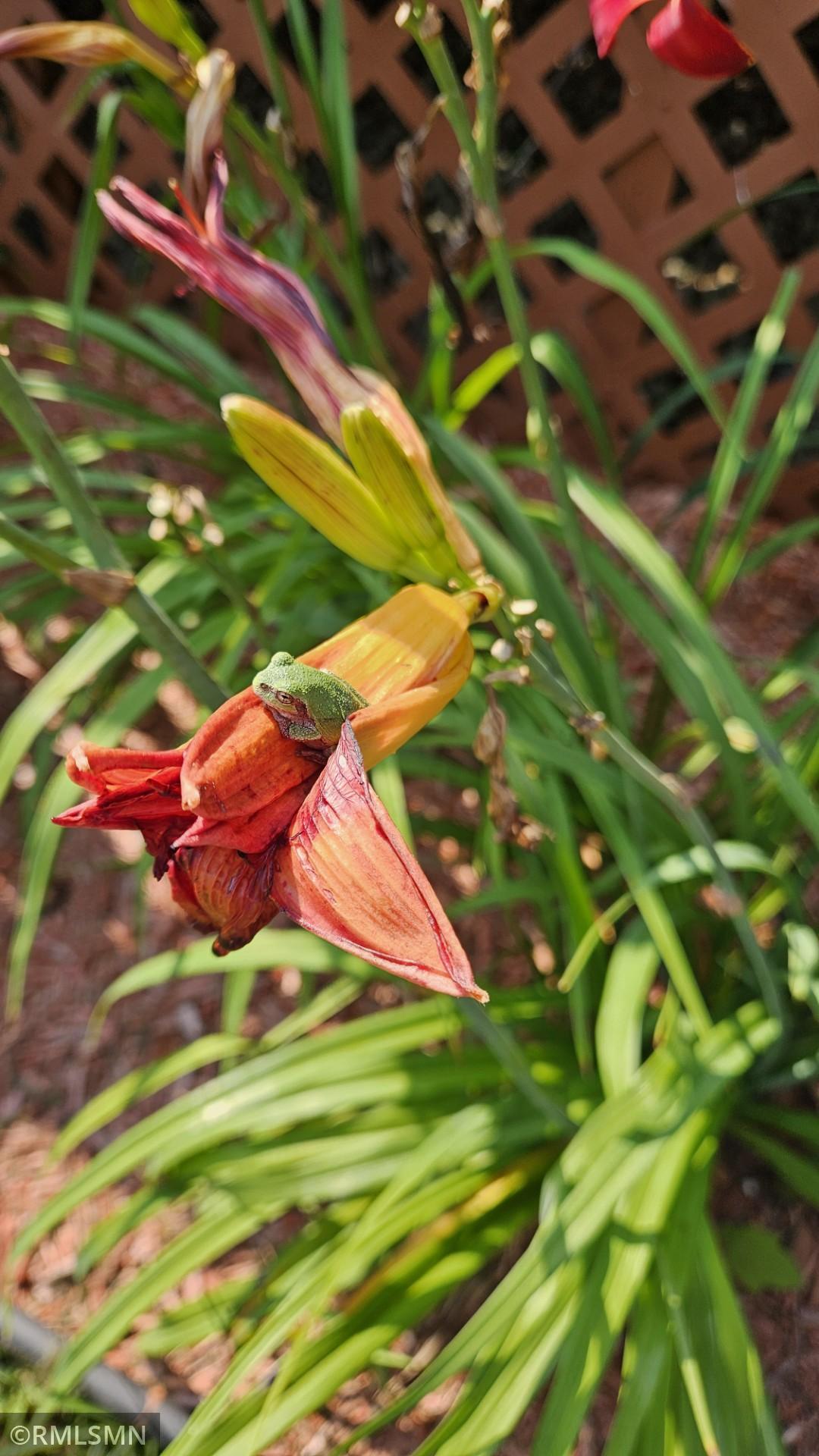 18115 Bender Street NE