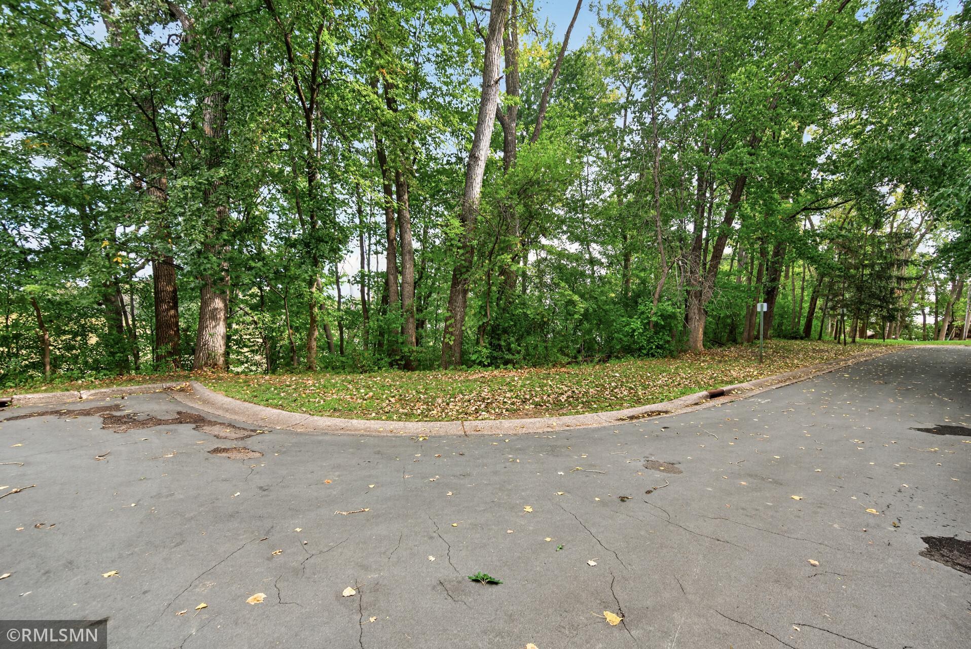 Wooded lot with mature trees and dense undergrowth beside a paved street.
