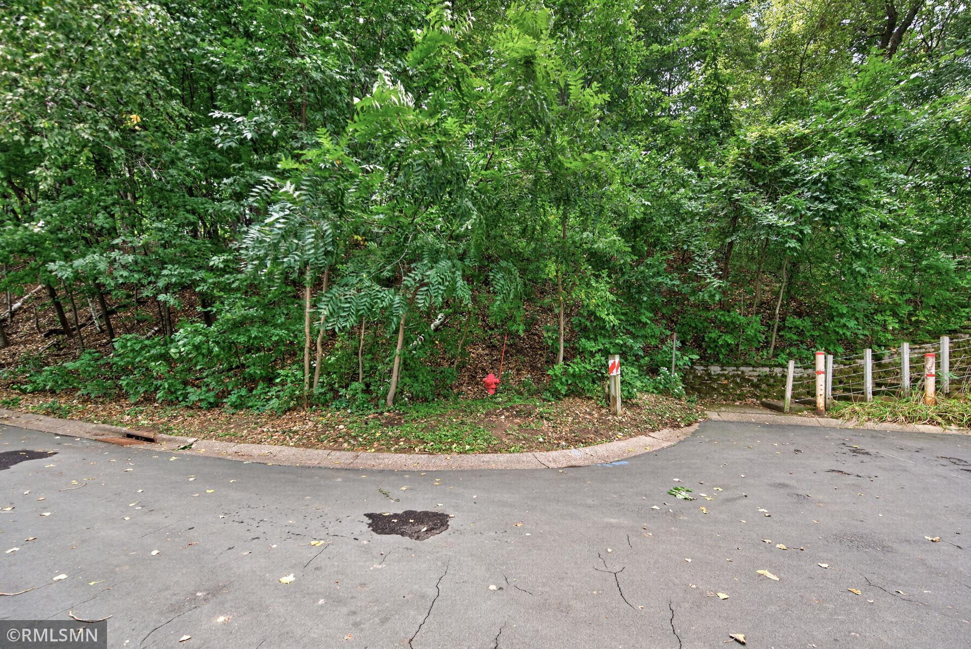 Wooded vacant lot with dense trees, roadside fire hydrant, and wire fence.
