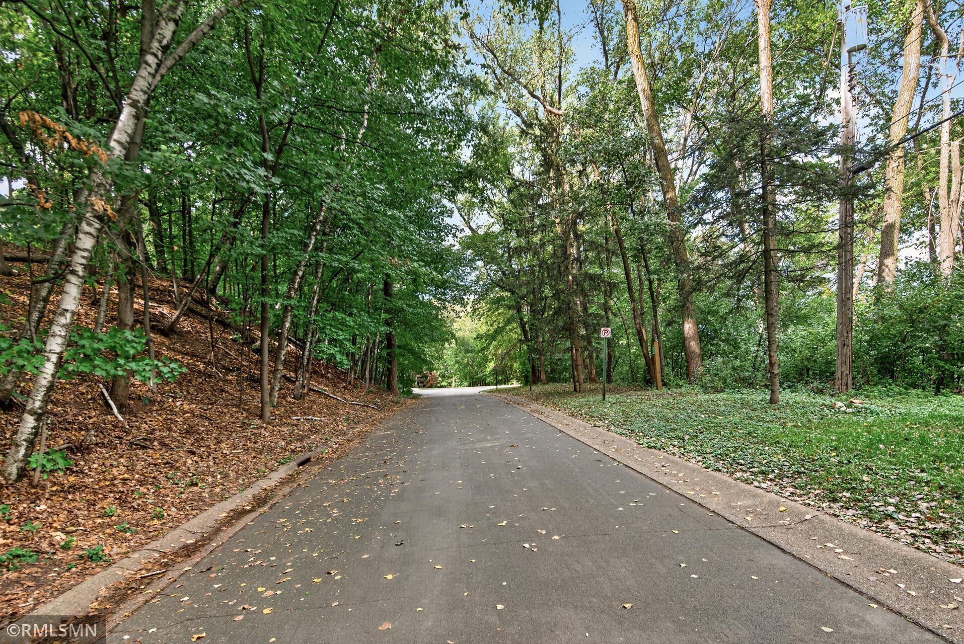 Paved road curving through dense green woods, with utility poles and a no-parking sign.