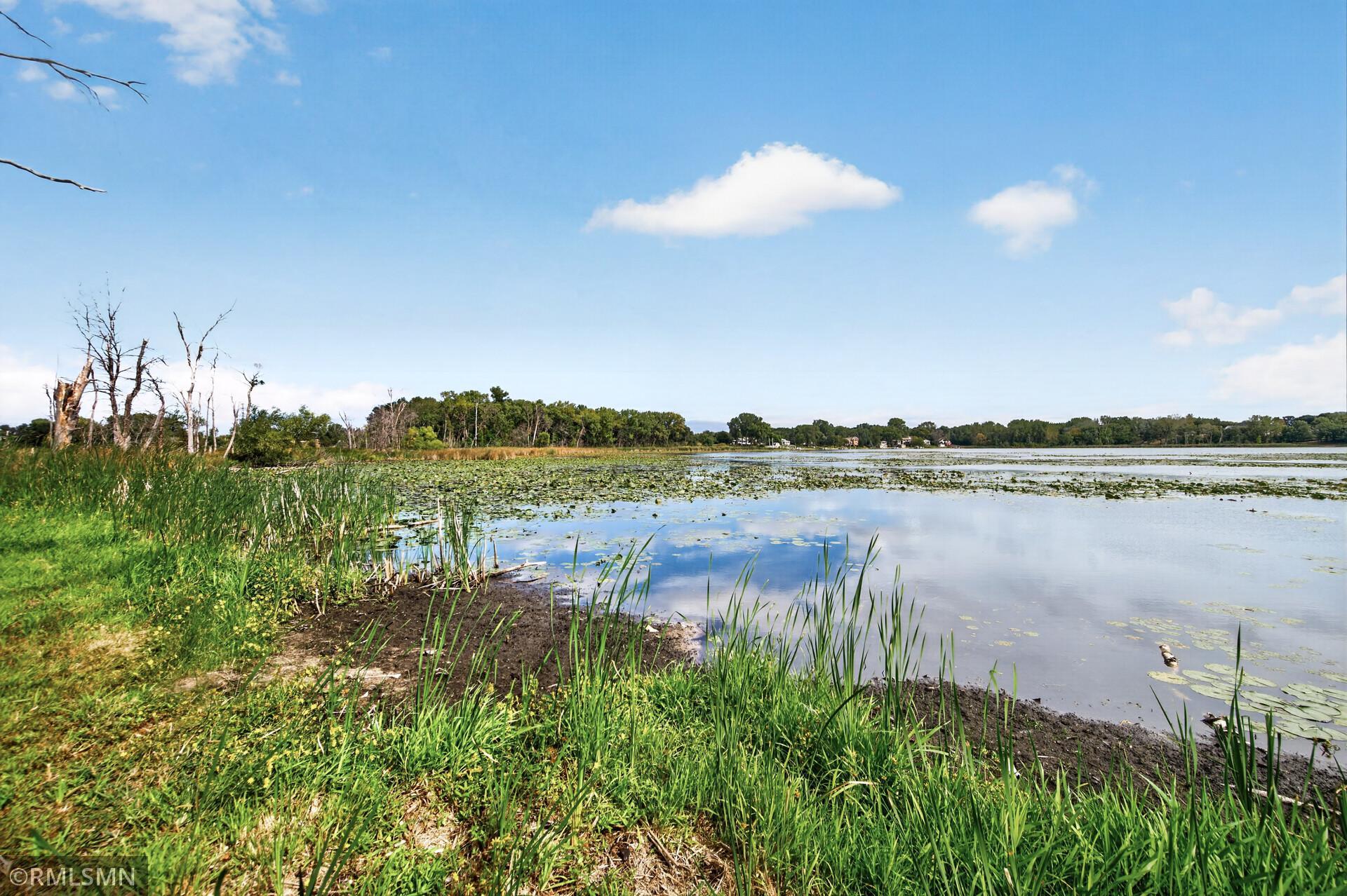 Lake shoreline with reeds and lily pads, looking across to a tree-lined opposite bank.