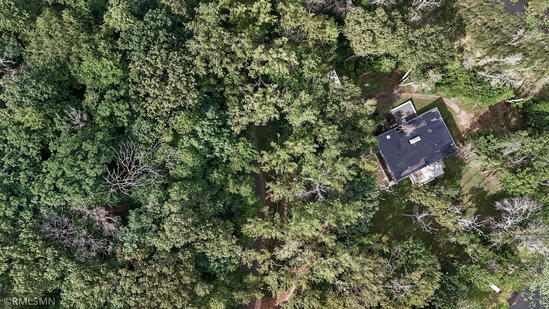 Aerial view of a dark-roofed house surrounded by dense trees, with a clearing and water nearby.
