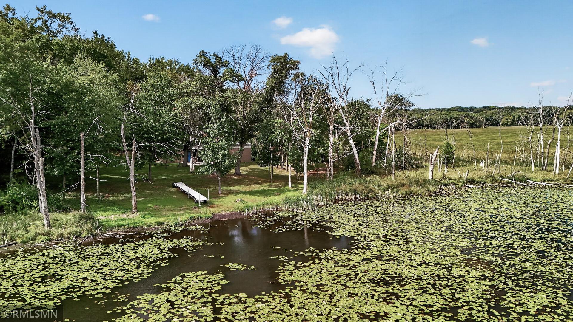Wooded property beside a lily-pad-covered pond, with a small dock along the shore.
