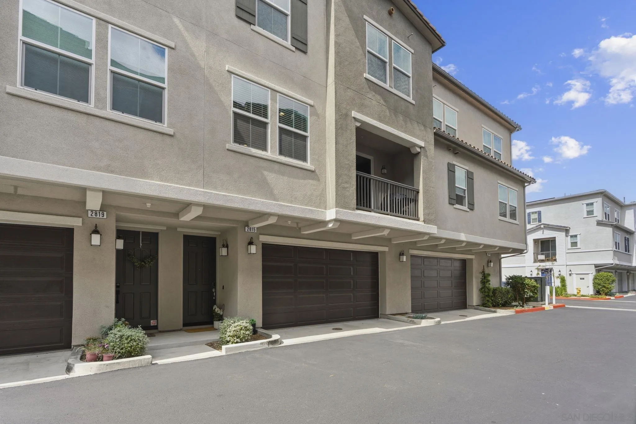 2815 Elderflower