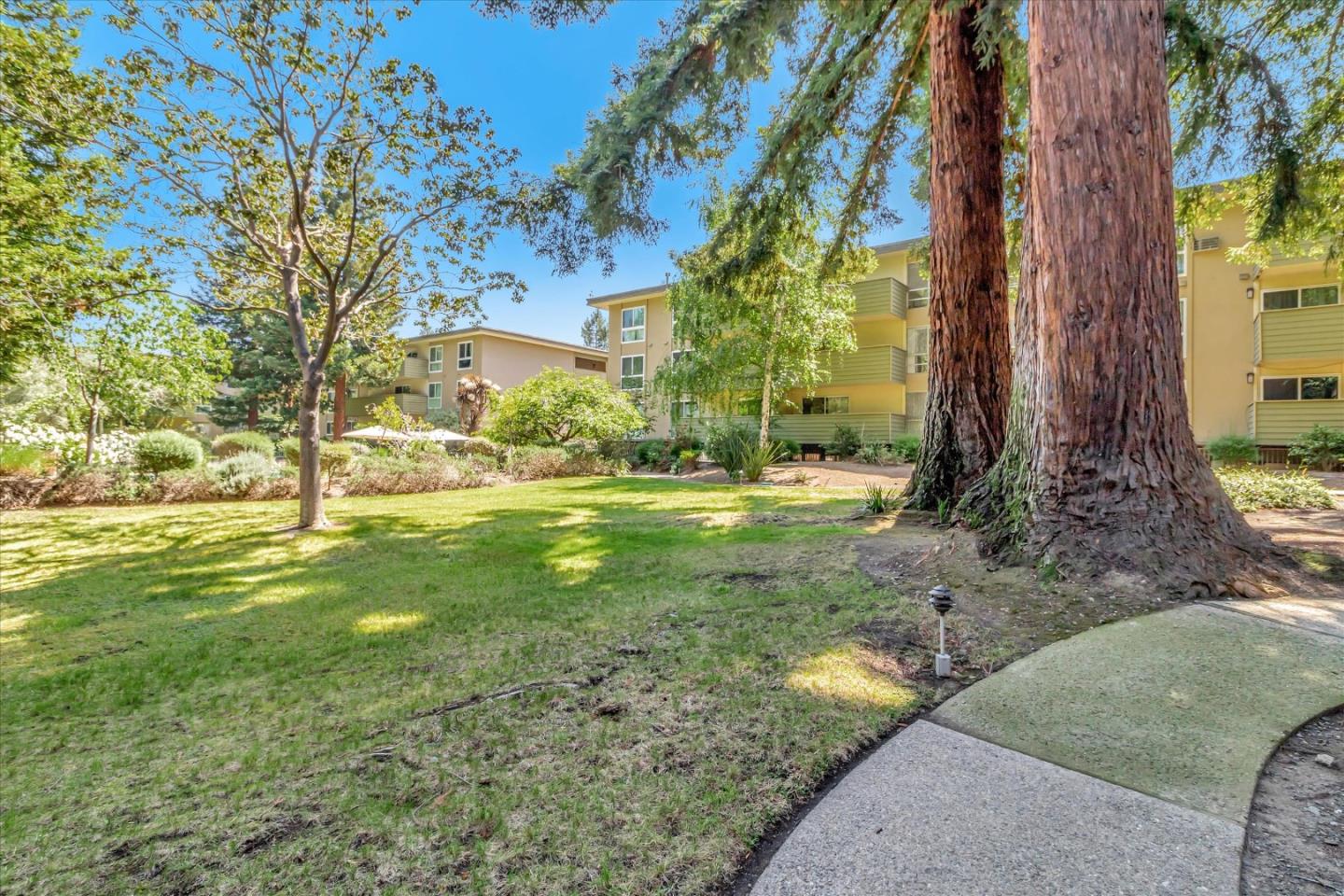 1033 Crestview Drive 310