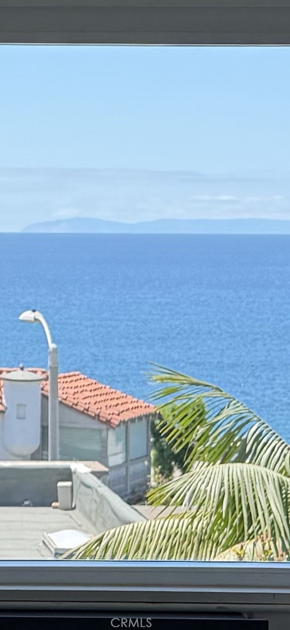 2955 Terry