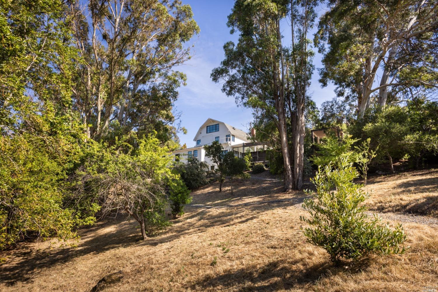 204 Tiburon Boulevard