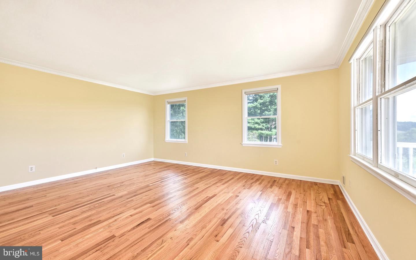 8389 MEADOWS RD