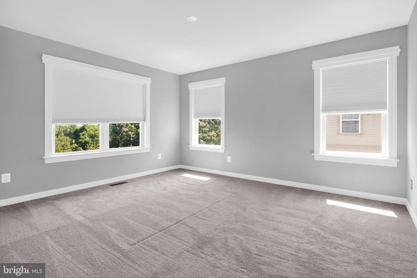 169 Brasstown Loop