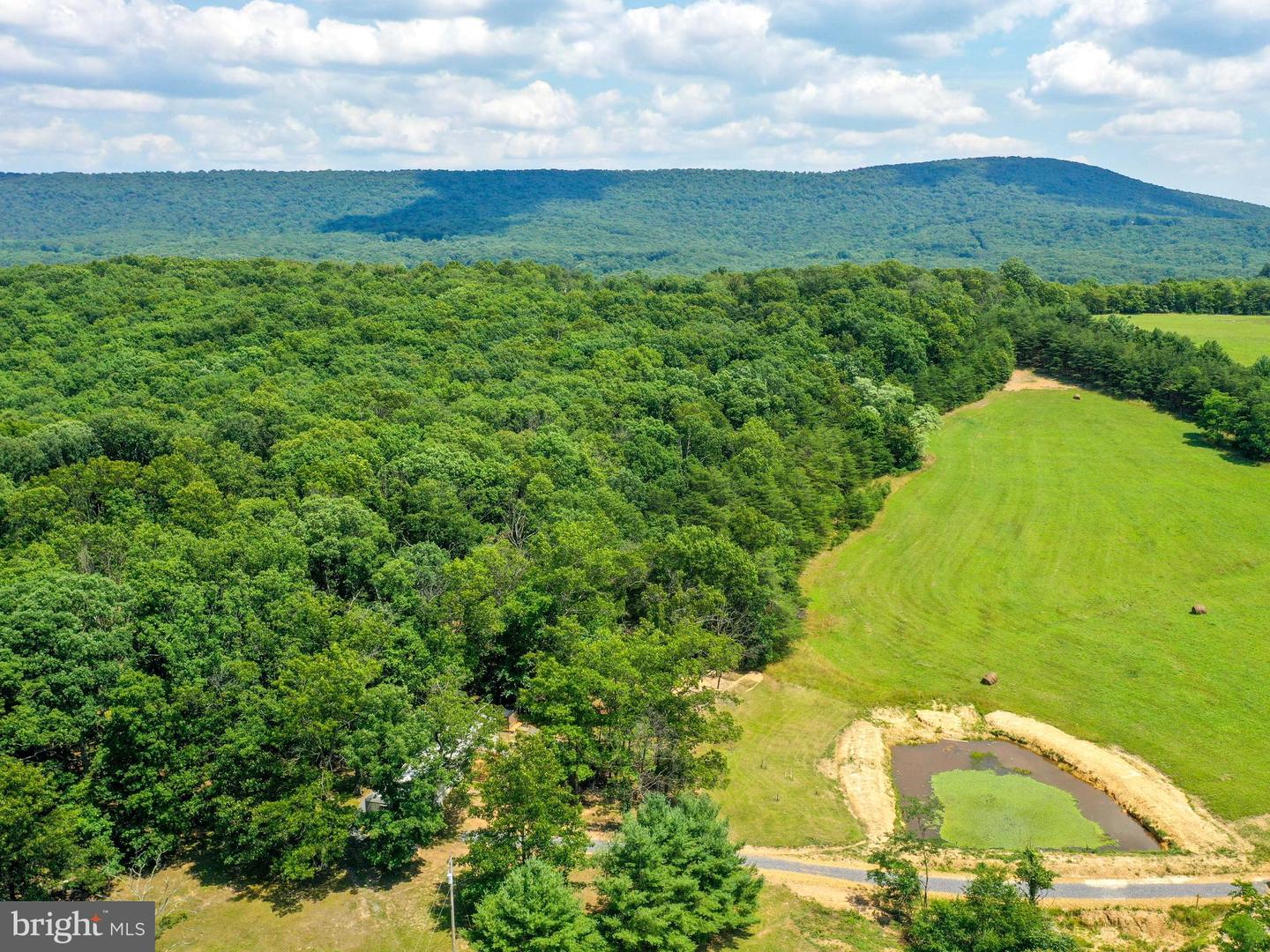 285 Wolfrey Ln