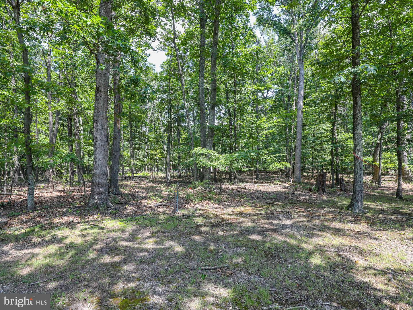 285 Wolfrey Ln
