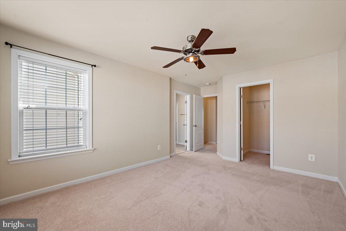 244 Schramm Loop