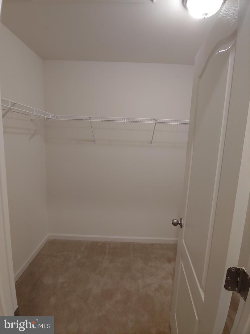 117 Stribling Way