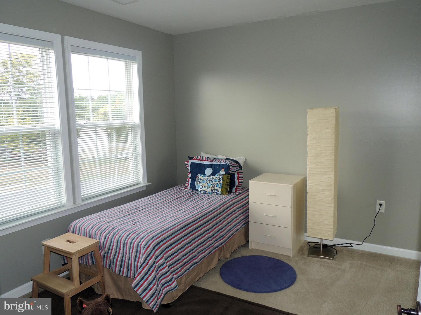 103 Ladyslipper Dr
