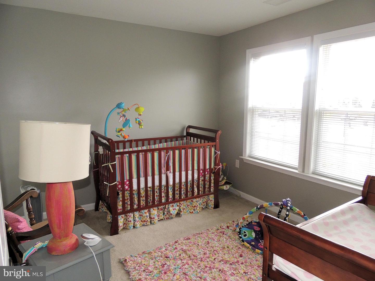 103 Ladyslipper Dr