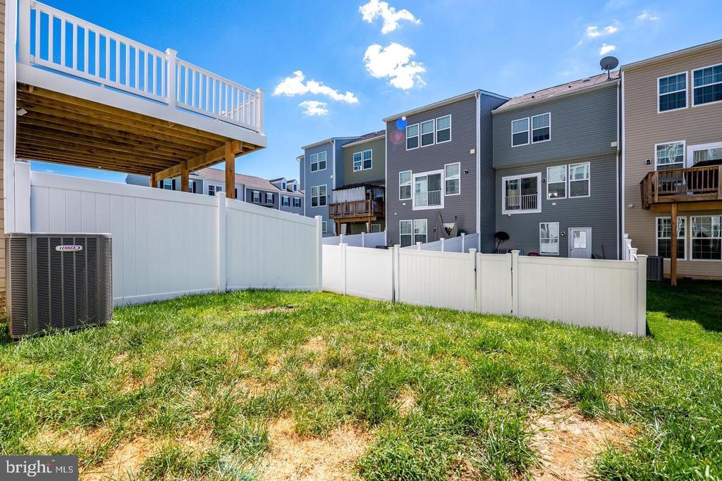 174 SCHRAMM LOOP