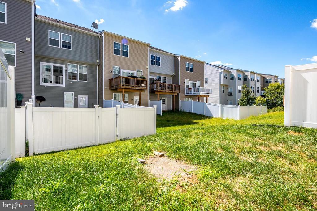 174 SCHRAMM LOOP