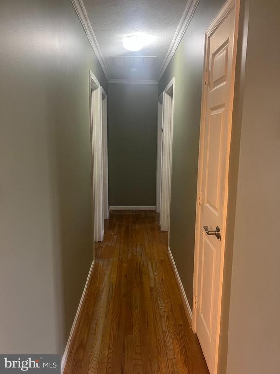 111 LONGSTREET AVE