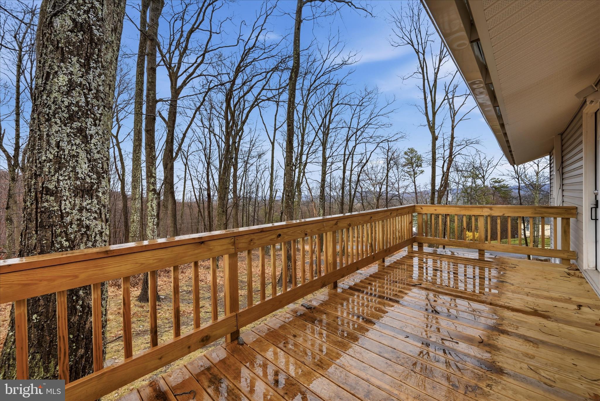 104 INCA TRAIL