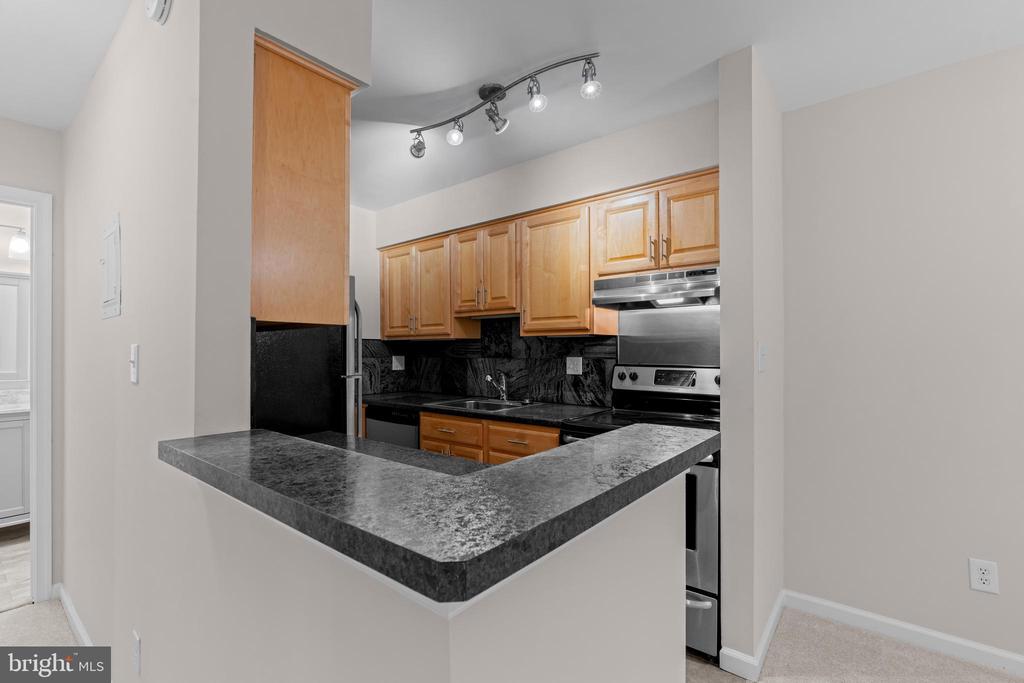 8110 COLONY POINT ROAD Unit: H