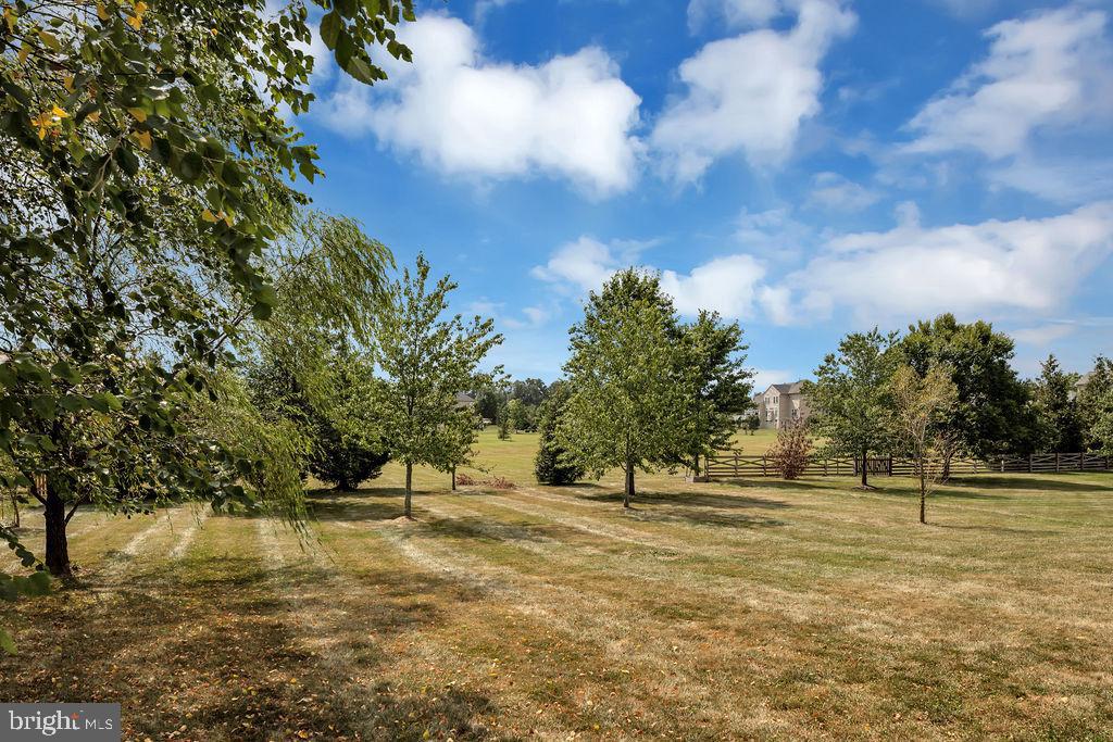 22405 Belle Terra Dr