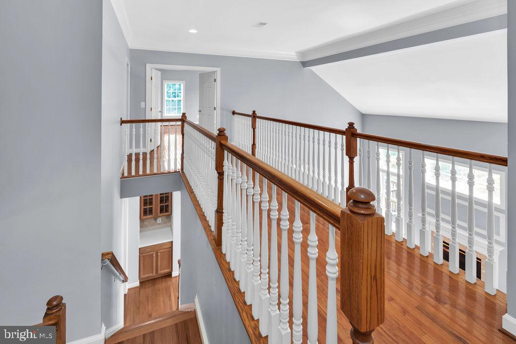 22405 Belle Terra Dr