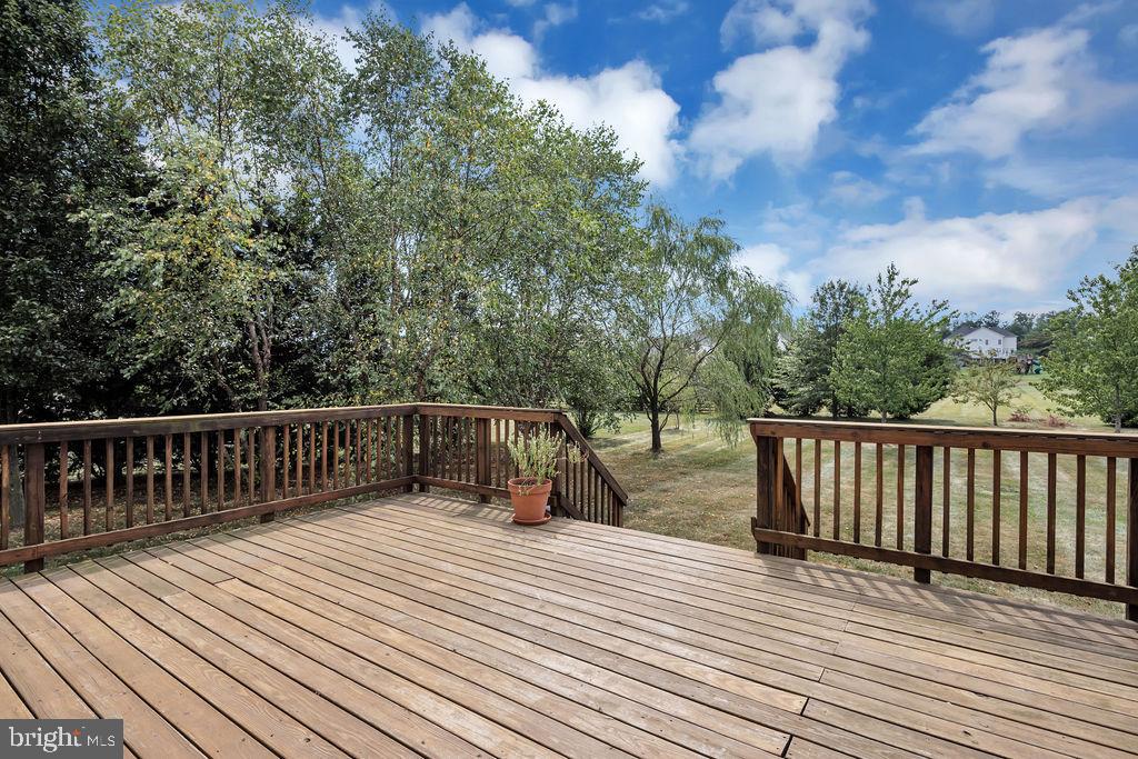 22405 Belle Terra Dr