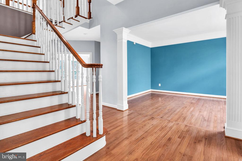 22405 Belle Terra Dr