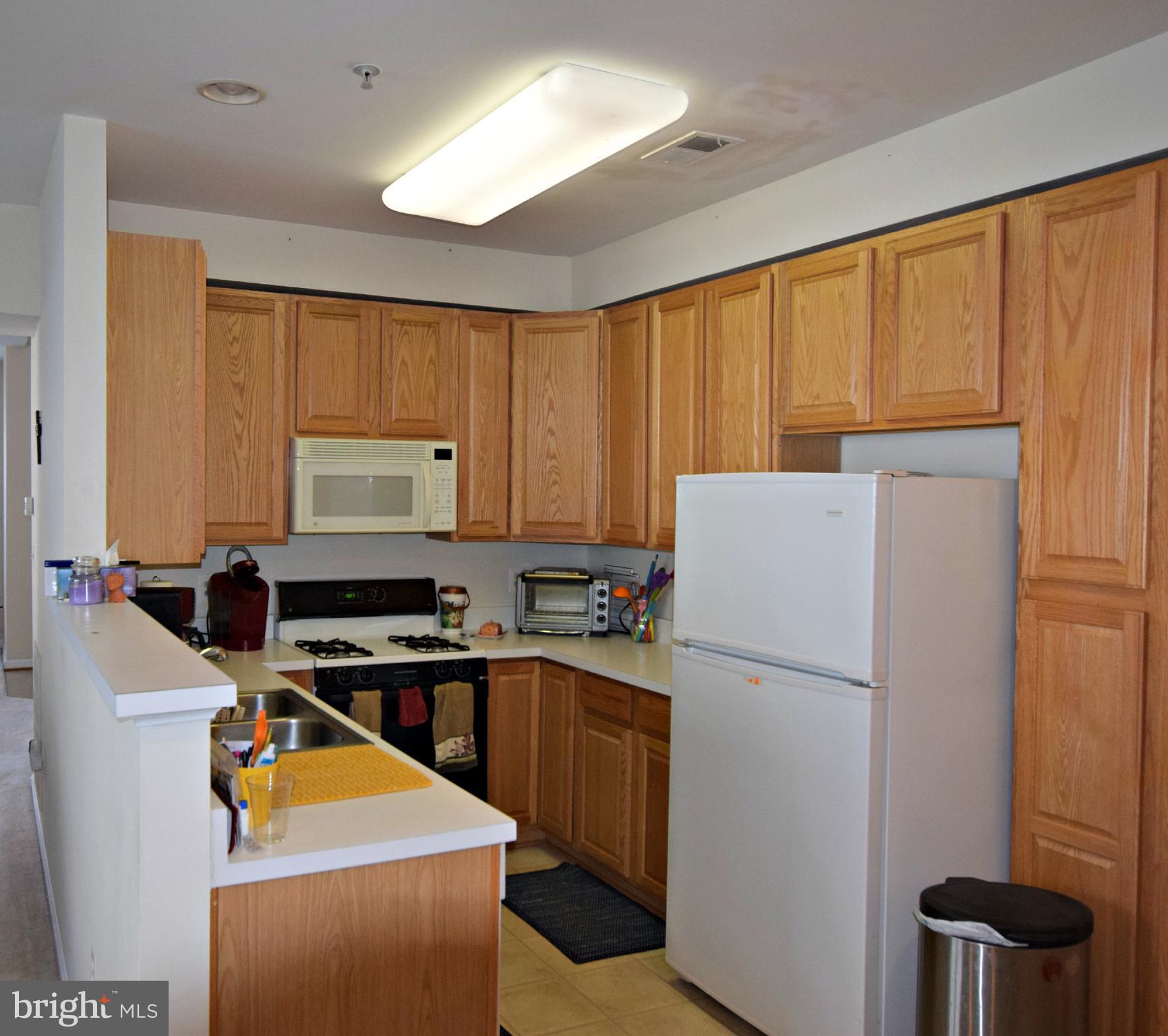 20245 Macglashan Ter