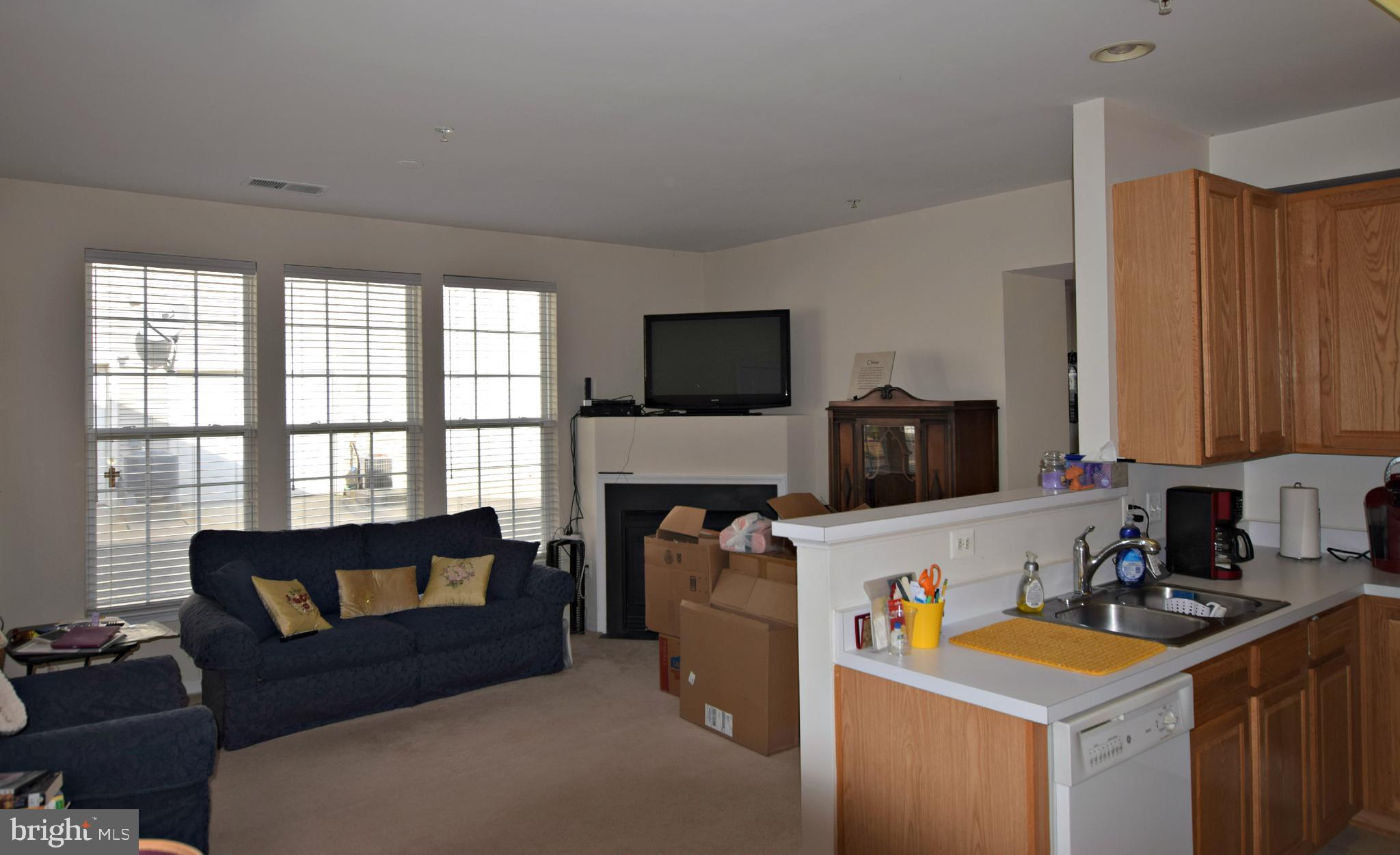 20245 Macglashan Ter