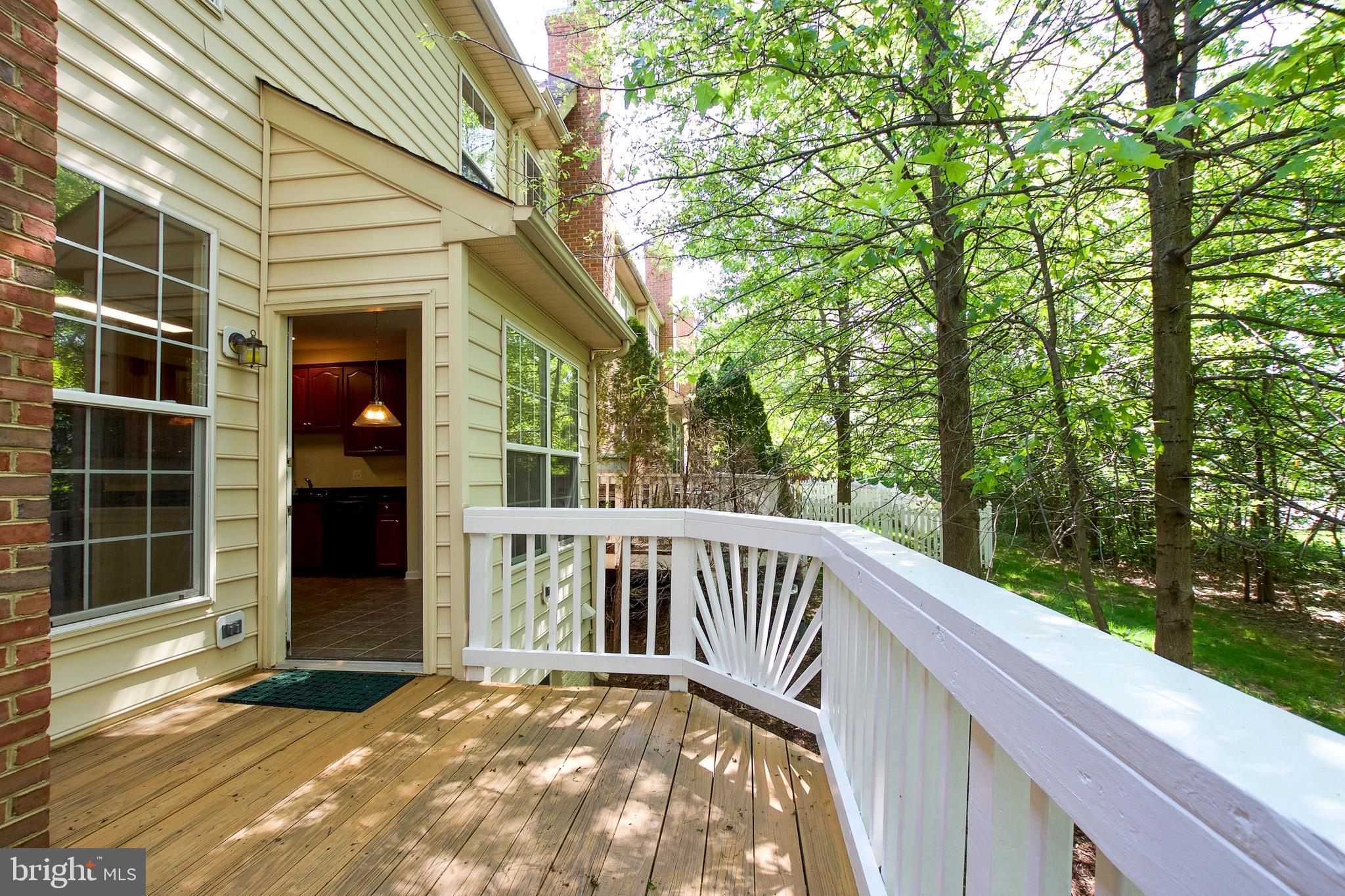 43581 DUNHILL CUP SQ