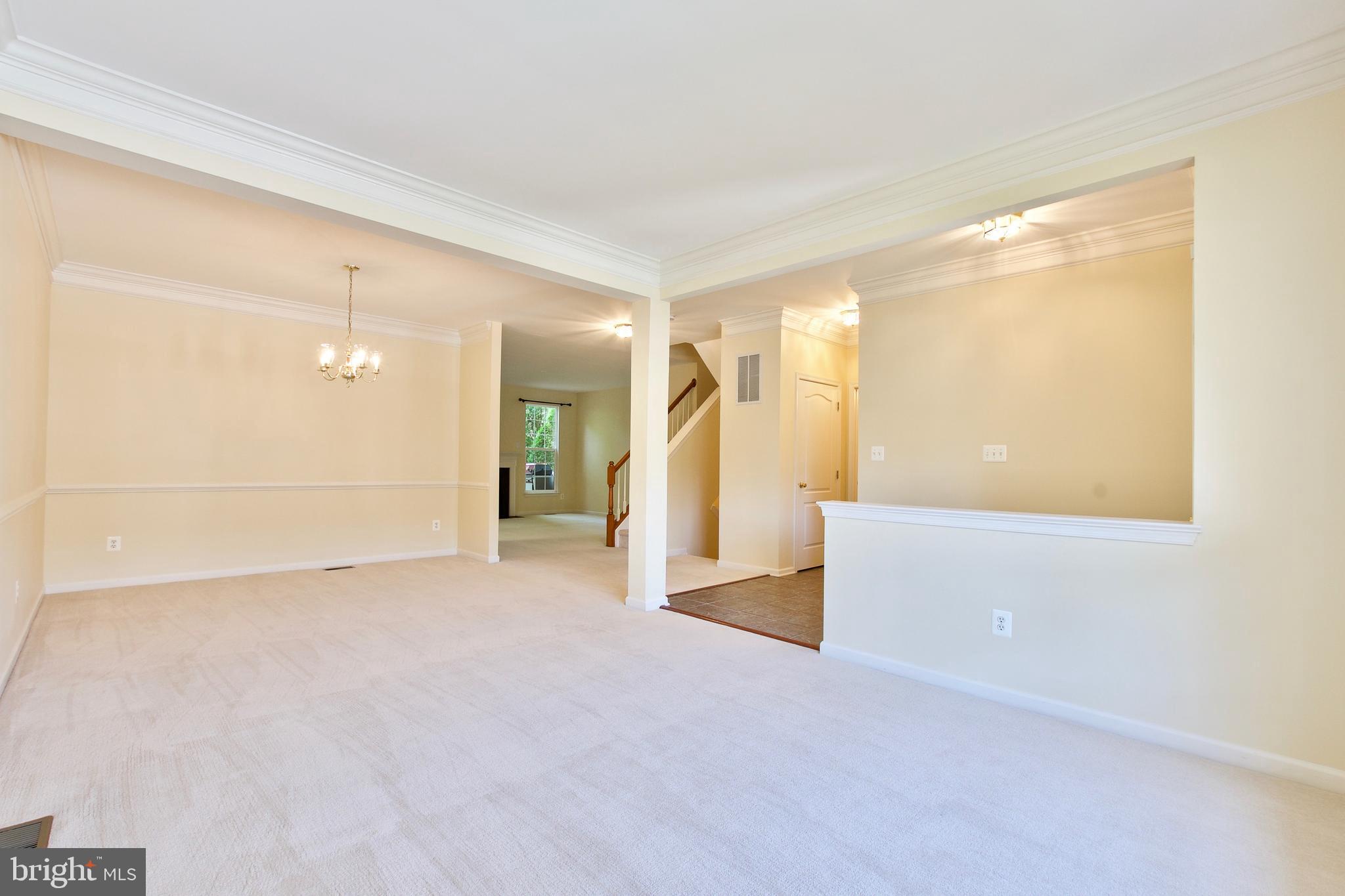 43581 DUNHILL CUP SQ