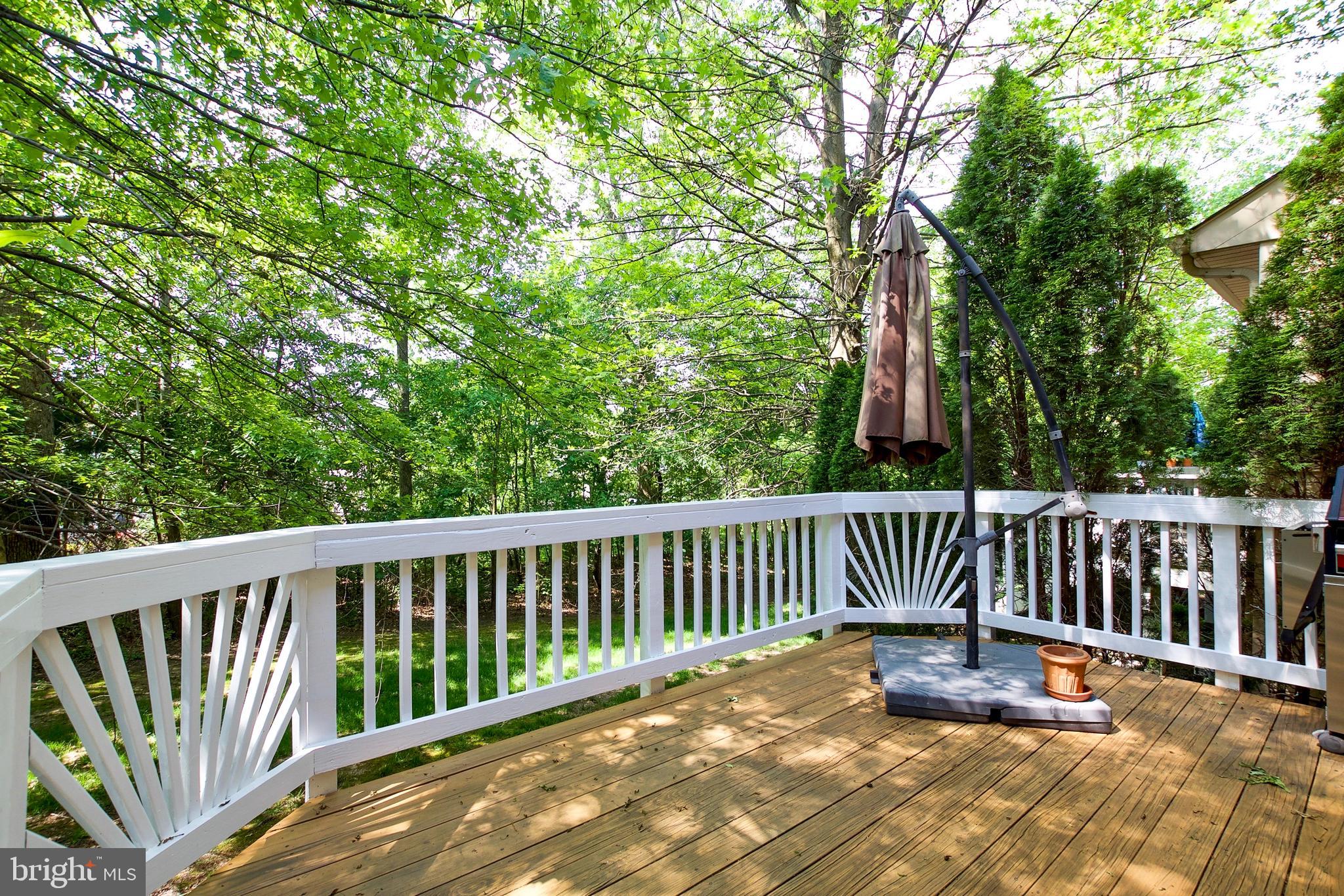 43581 DUNHILL CUP SQ